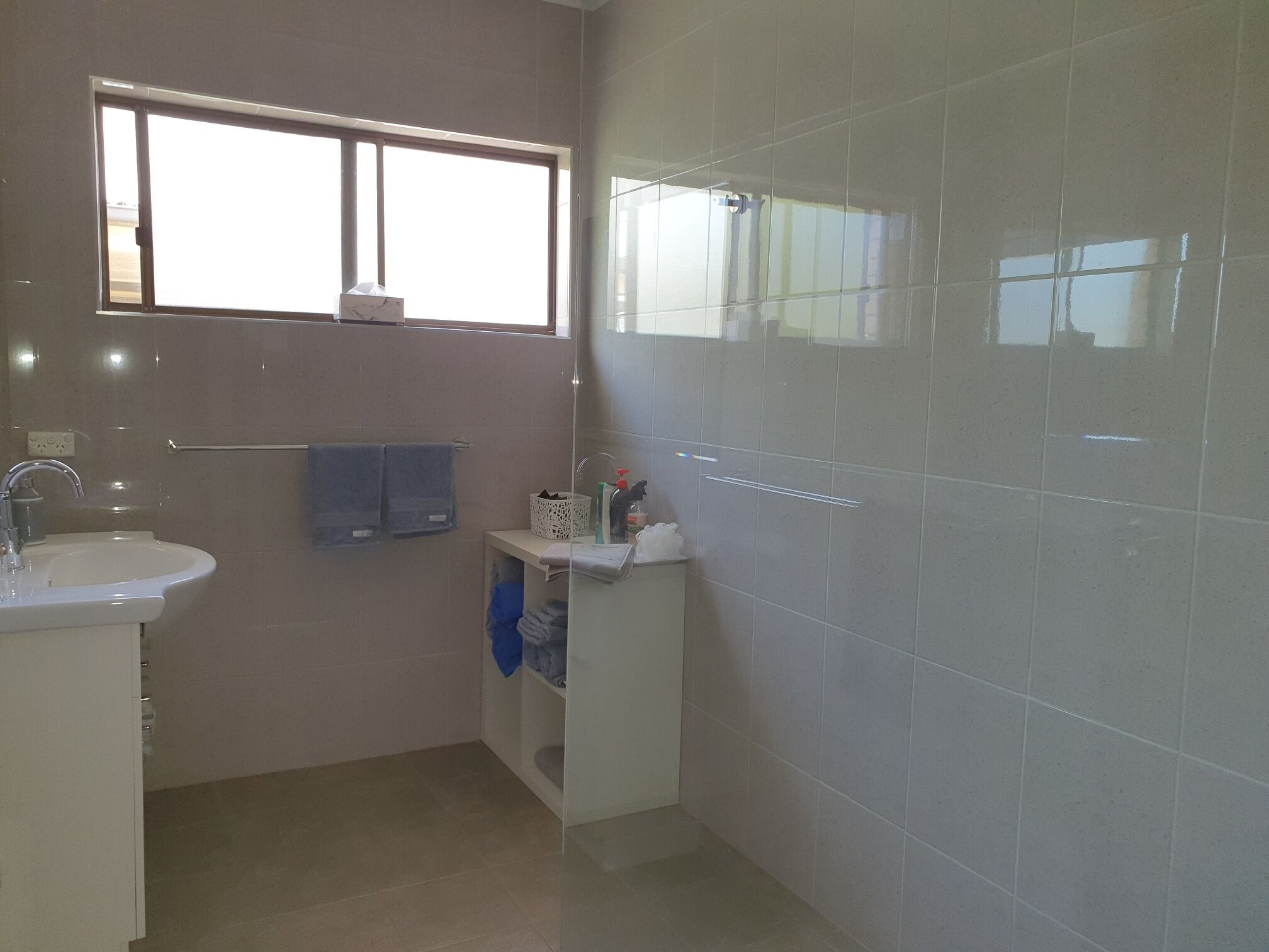 BALAVIL on Fern — image 8