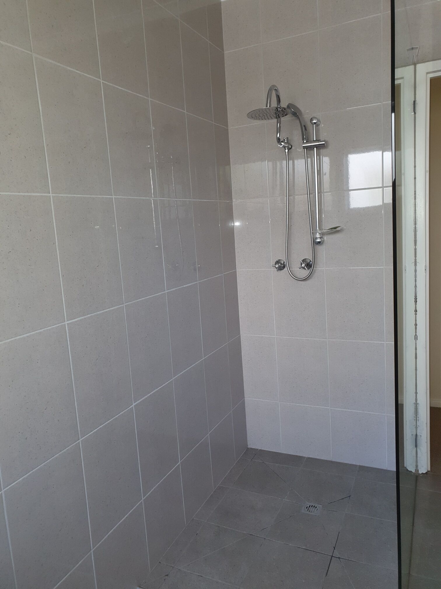 BALAVIL on Fern — image 9