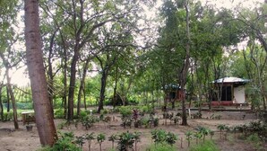 Un jardín con diversas plantas y árboles, una pequeña construcción y un sendero de tierra.