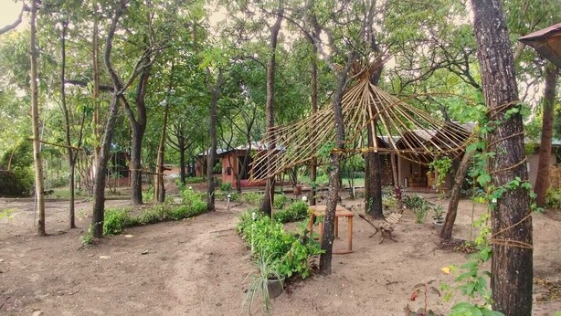 Un entorno rústico al aire libre con una construcción de techo de paja, rodeada de árboles y plantas en macetas.