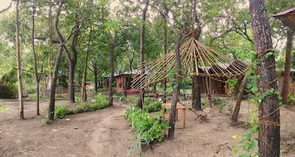 An Eco Resort