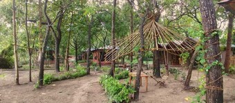 An Eco Resort