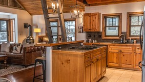 Fridge, microwave, oven, stovetop - Prince Teocalli - Crested Butte (Crested Butte)