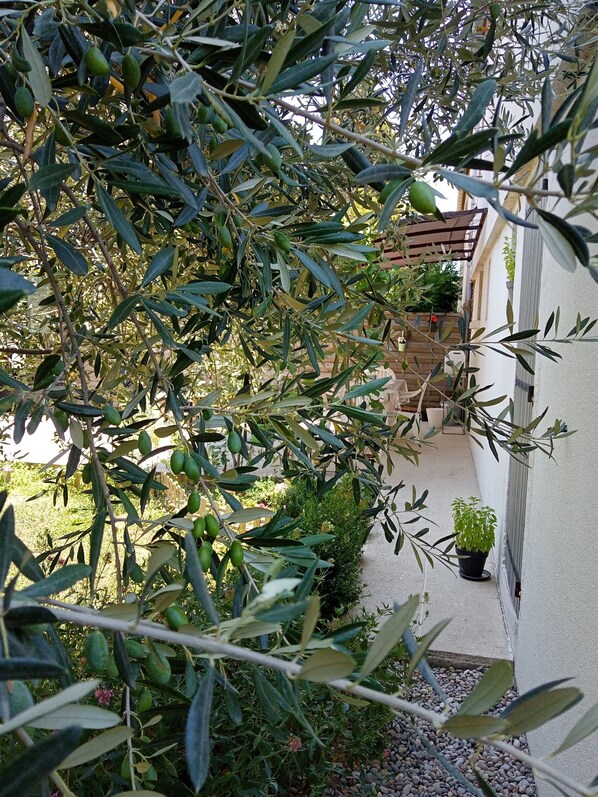 Détail de l’extérieur