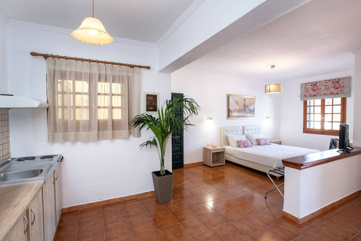 A compact kitchen with a sink and stove, a dining area with a table and chairs, a bed with a nightstand, and a large potted plant.