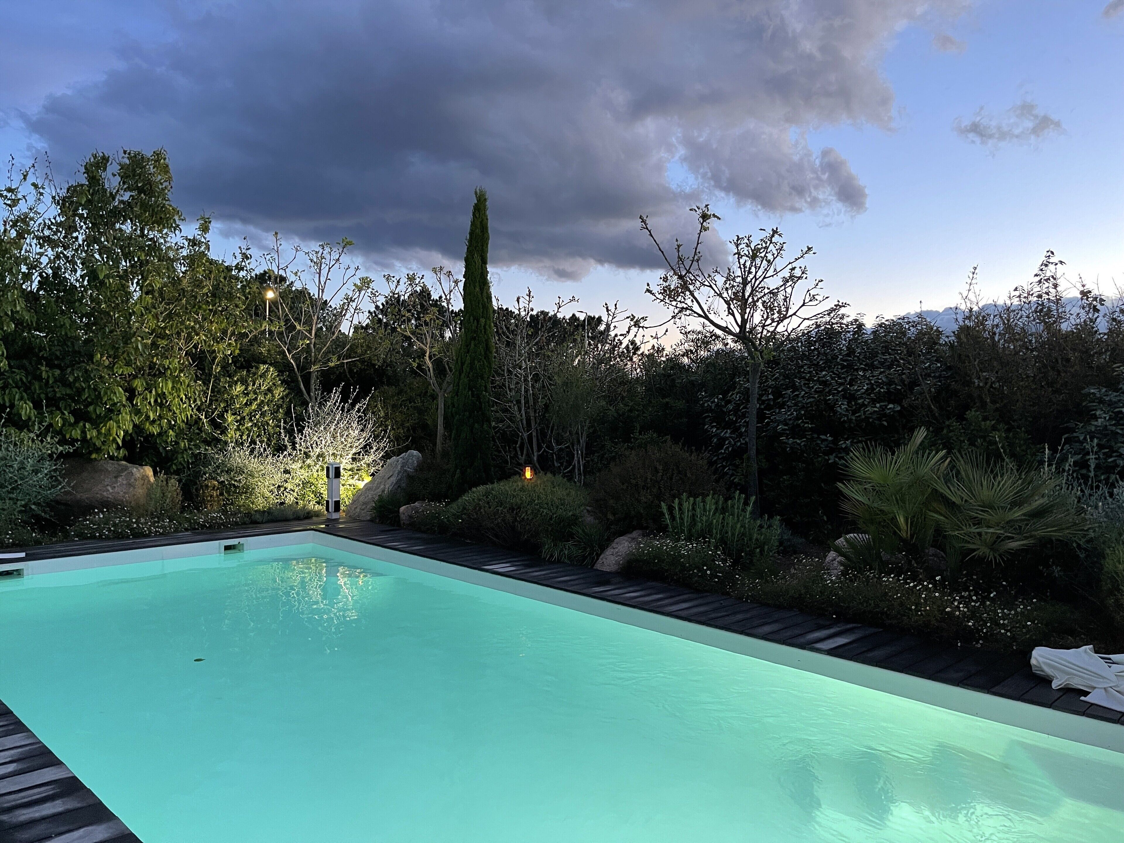 En rektangulär swimmingpool med ett trädäck runt om, placerad med en tät vegetation och en molnig himmel som bakgrund.