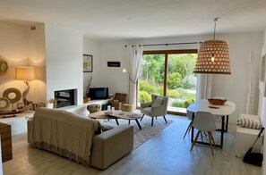 TV connectée, cheminée, lecteur de DVD, livres