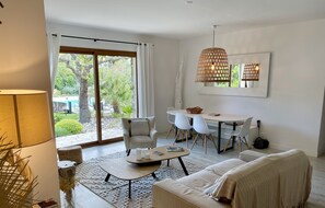 TV connectée, cheminée, lecteur de DVD, livres