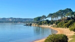 Paesaggio costiero con spiaggia sabbiosa, acque calme e una fila di alberi.