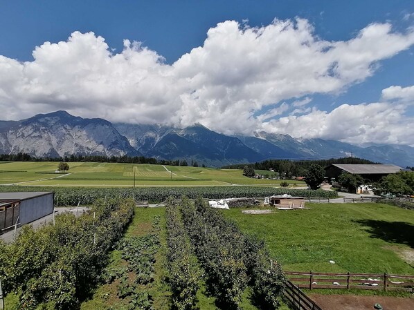 Uklassifisert bilde, 1 av 23, knapp