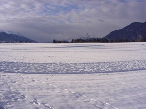 Imagen sin descripción, 5 de 23, botón