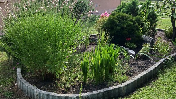 Ein Wohnhaus mit Garten, der verschiedene Pflanzen und einen kleinen Teich beherbergt.