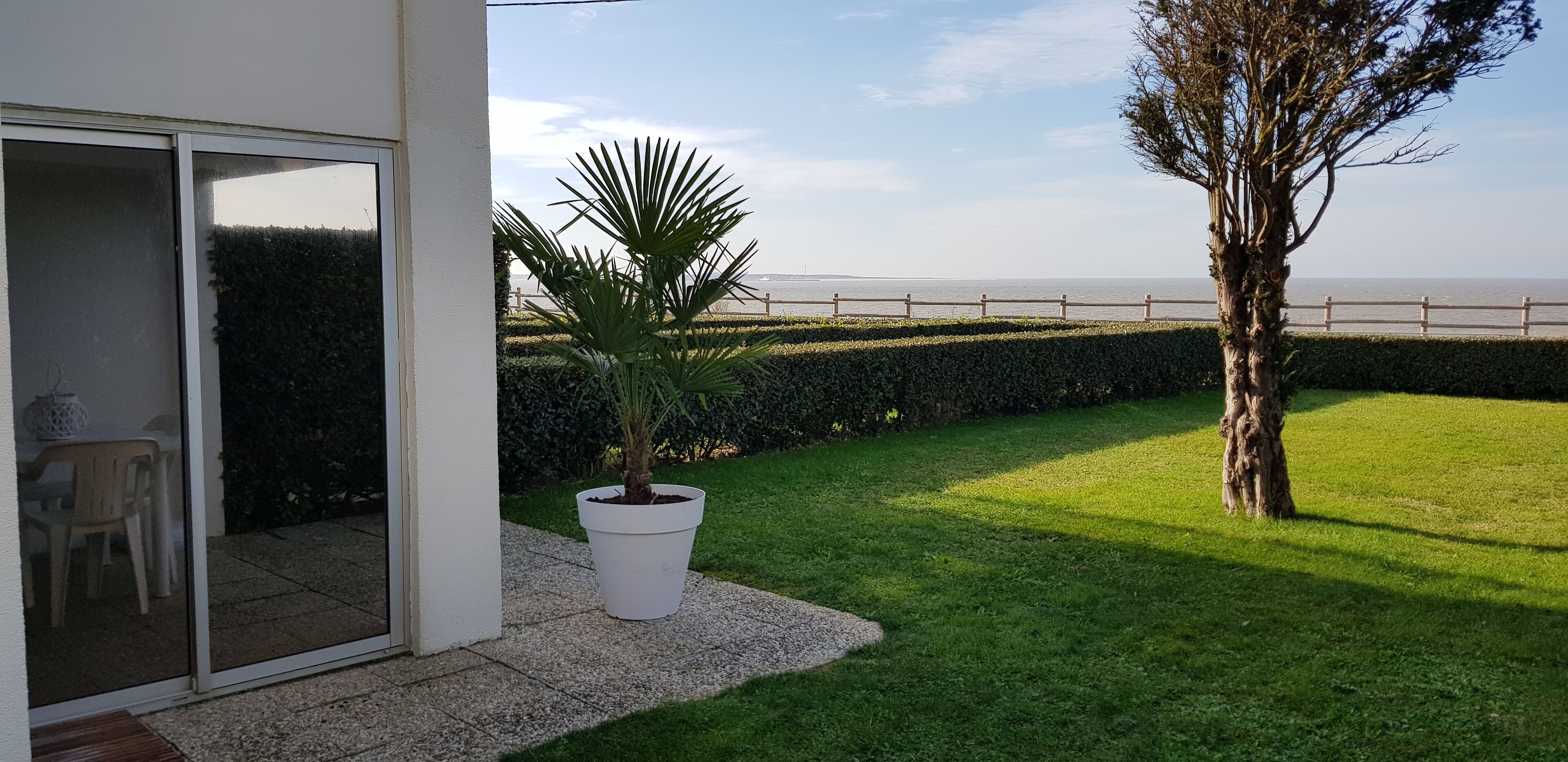A patio with a potted plant, a tree, and a view of the sea.