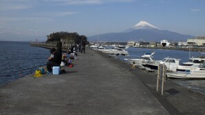A marina with boats docked, a pier extending into the water, and a mountain in the background. - Marina bay Numazu (Numazu)