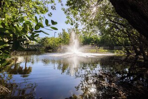 A tranquil pond with a fountain in a park setting.