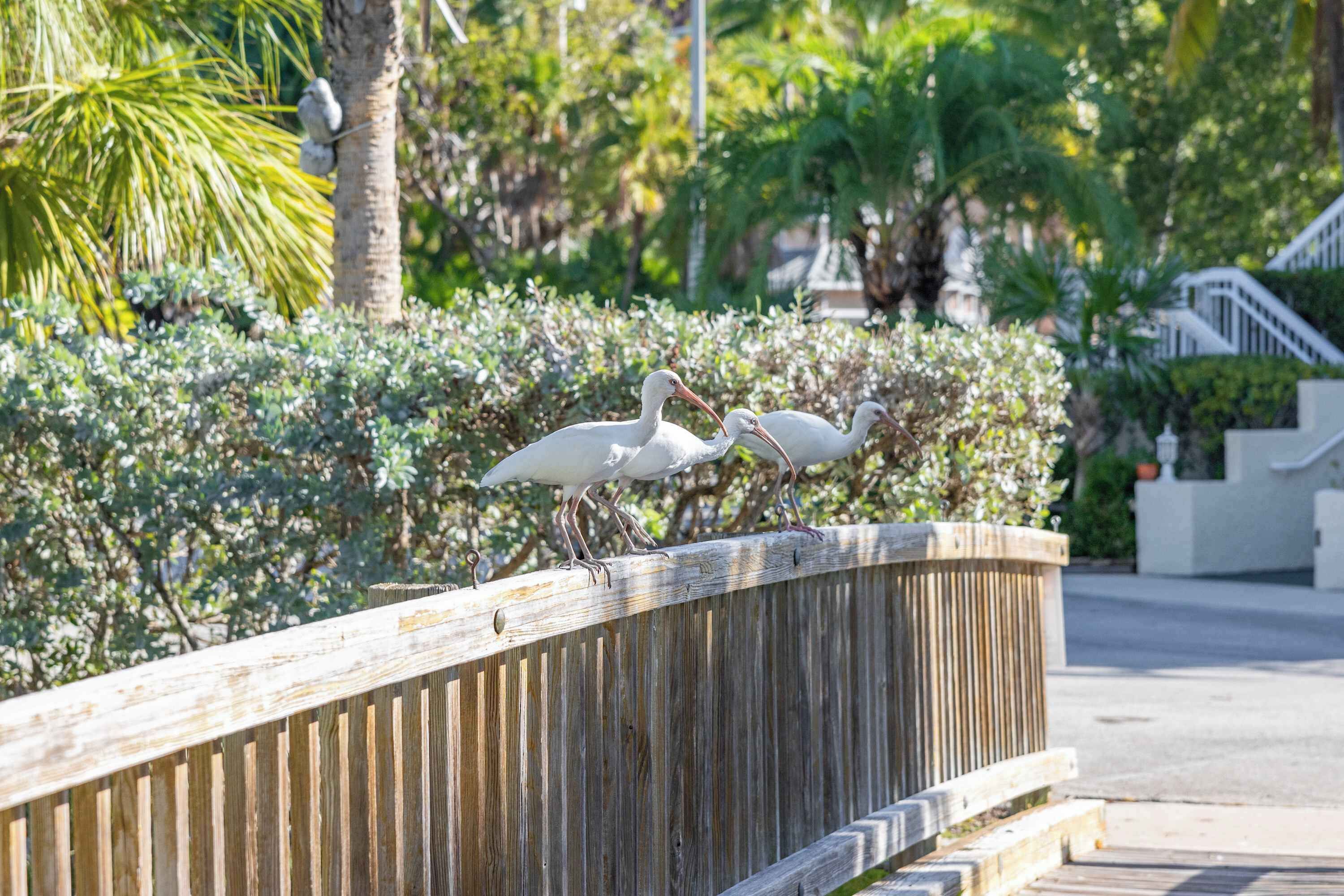 住宿场地