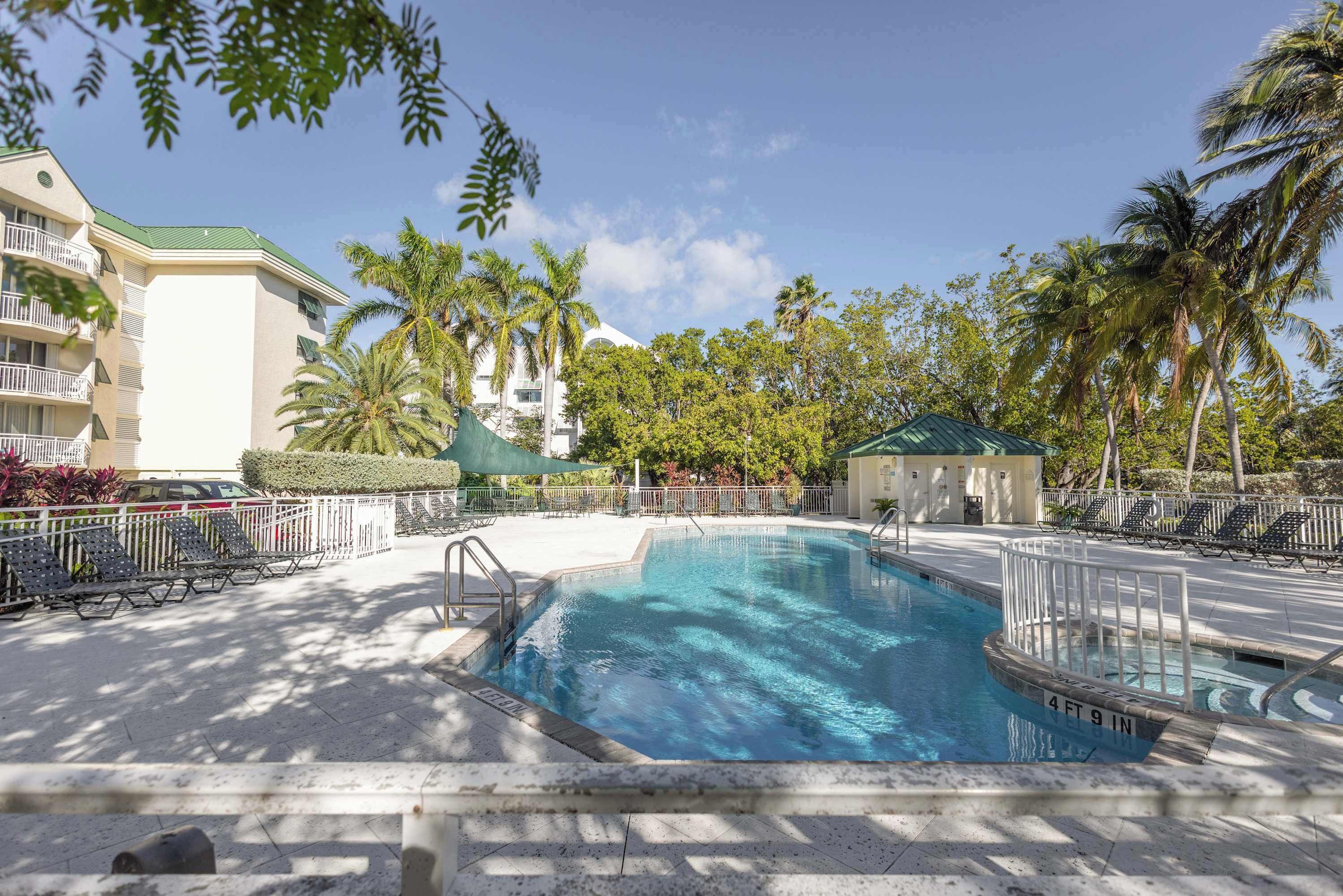 A swimming pool with a 4ft 9in depth, surrounded by lounge chairs and palm trees.