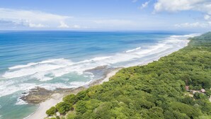 Un paysage côtier avec une plage, une forêt verdoyante et luxuriante, et un ciel bleu dégagé.