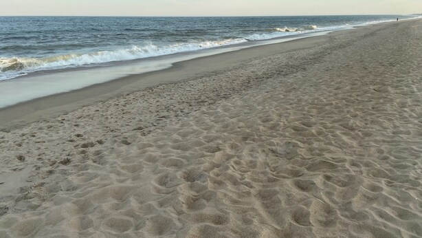 A beach with a wide sandy shore and gentle waves. - Seaclusion Near Bethany Beach (Ocean View)