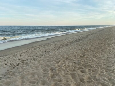 Seaclusion Near Bethany Beach
