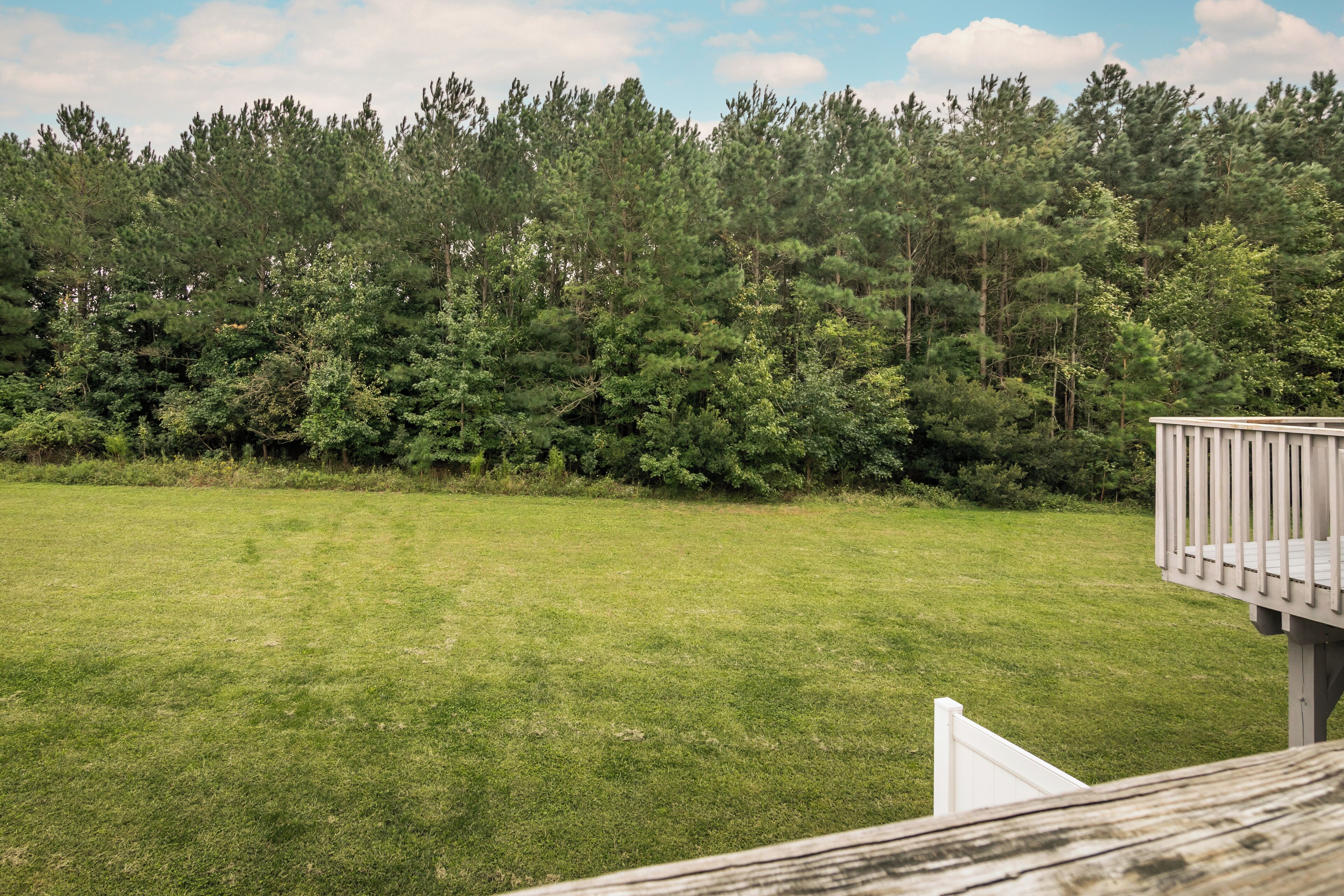 A grassy area with a wooden deck and a dense forest in the background.