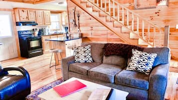 Smart TV, fireplace, DVD player, books