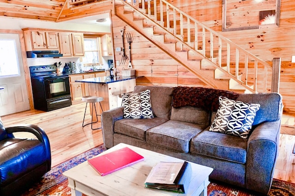 TV connectée, cheminée, lecteur de DVD, livres