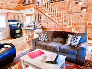 TV connectée, cheminée, lecteur de DVD, livres