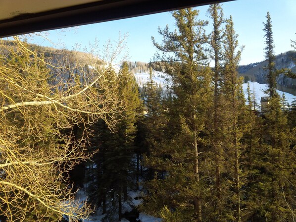 Vue depuis l’hébergement