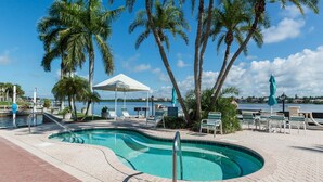 A swimming pool with a curved edge, surrounded by palm trees and lounge chairs, with a view of the water and a covered seating area.
