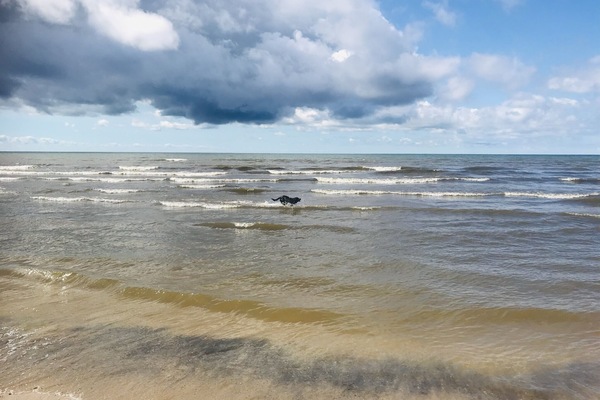 Strand