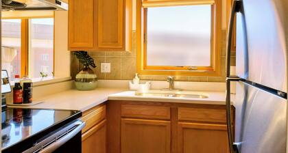 3 #3B - Modern 3 bedroom Condo - McCormick Place, Wintrust Arena, Chinatown