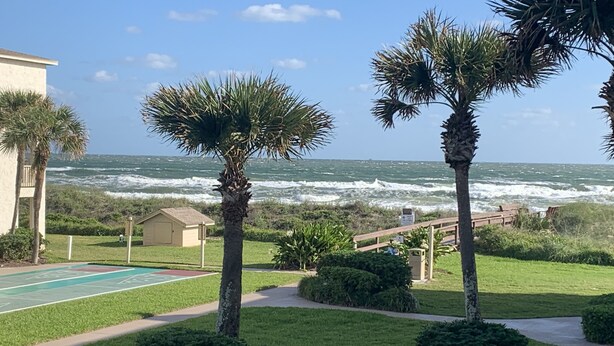 Blick auf einen Strand mit Palmen und einem Pool.
