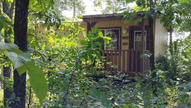 A small wooden cabin surrounded by dense foliage. - NEW!  Village of Hope - Cabin #12 (Ava)