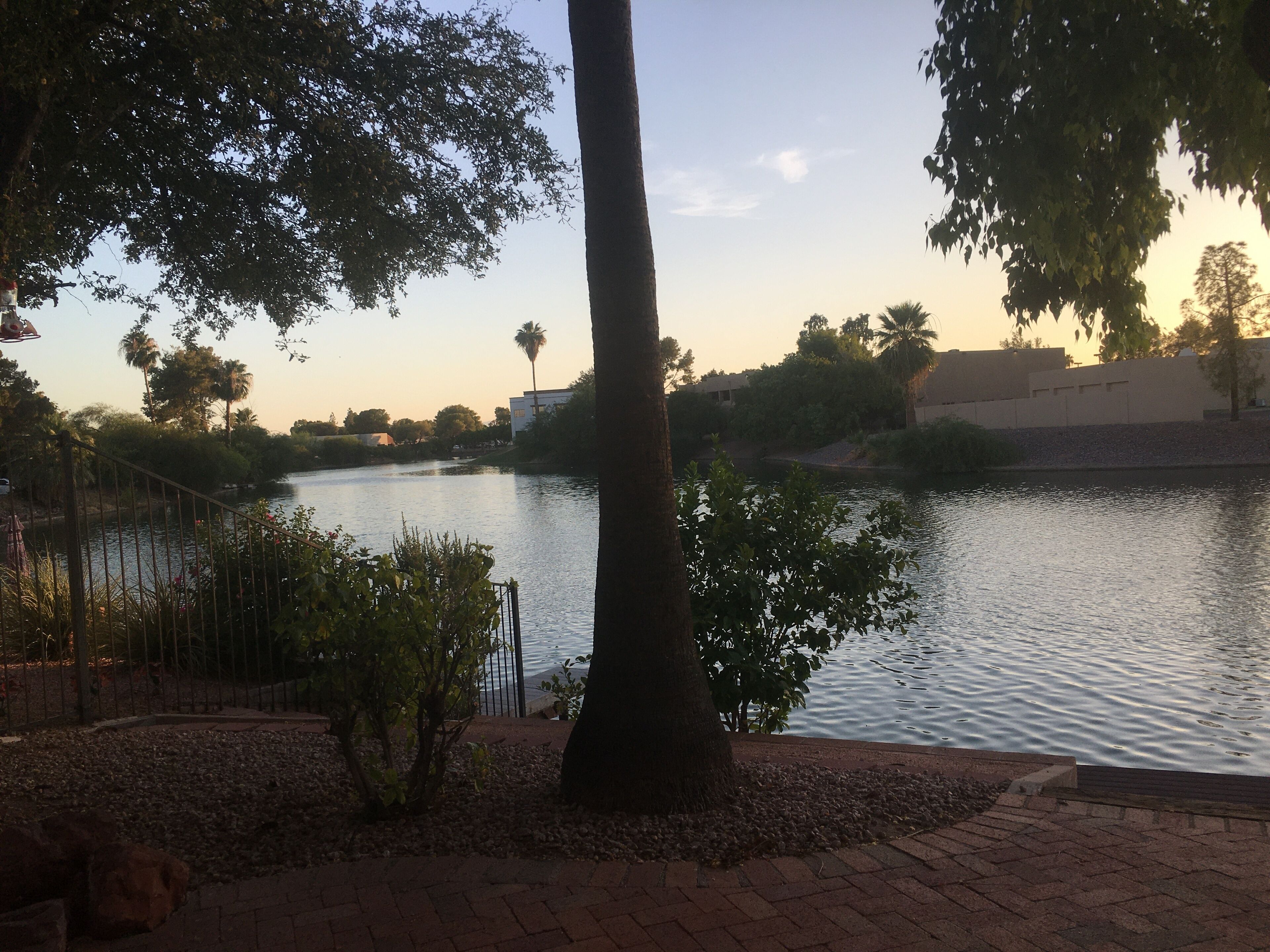 A serene lakeside view with a paved walkway, trees, and a distant building.