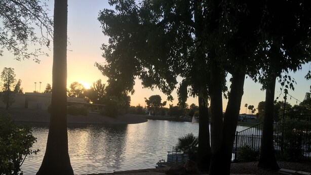 Un parco tranquillo con un vialetto lastricato, alberi e una superficie d'acqua calma che riflette il tramonto.