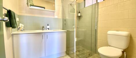Shower, hair dryer, towels, soap