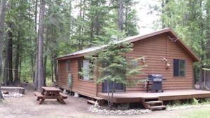 A wooden cabin with a deck, a picnic table, and a grill. - Escape to Priest Lake! Cabin in the woods! Air Conditioning and WiFi!! (Nordman)