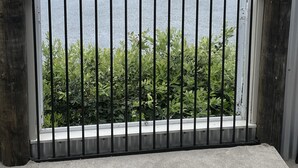 A view through a metal-framed window with a black metal railing, overlooking a body of water and greenery. - With the lake on your doorstep, BEACH 2 minutes away and river swimming hole . (Opunake)