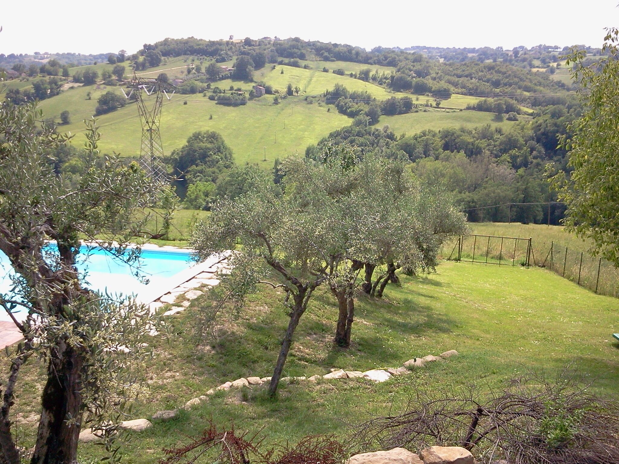 Piscina rodeada por oliveiras e um espaço gramado, com vista para colinas ondulantes ao fundo.