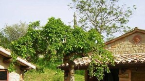 En byggnad av sten med ett tak täckt av tegelpannor, en pergola som är överbemängd med klätterväxter och en gräsyta.