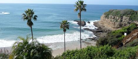 A coastal landscape with palm trees, rocky cliffs, and a wooden staircase leading down to the beach.