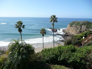 A coastal landscape with palm trees, rocky cliffs, and a wooden staircase leading down to the beach.