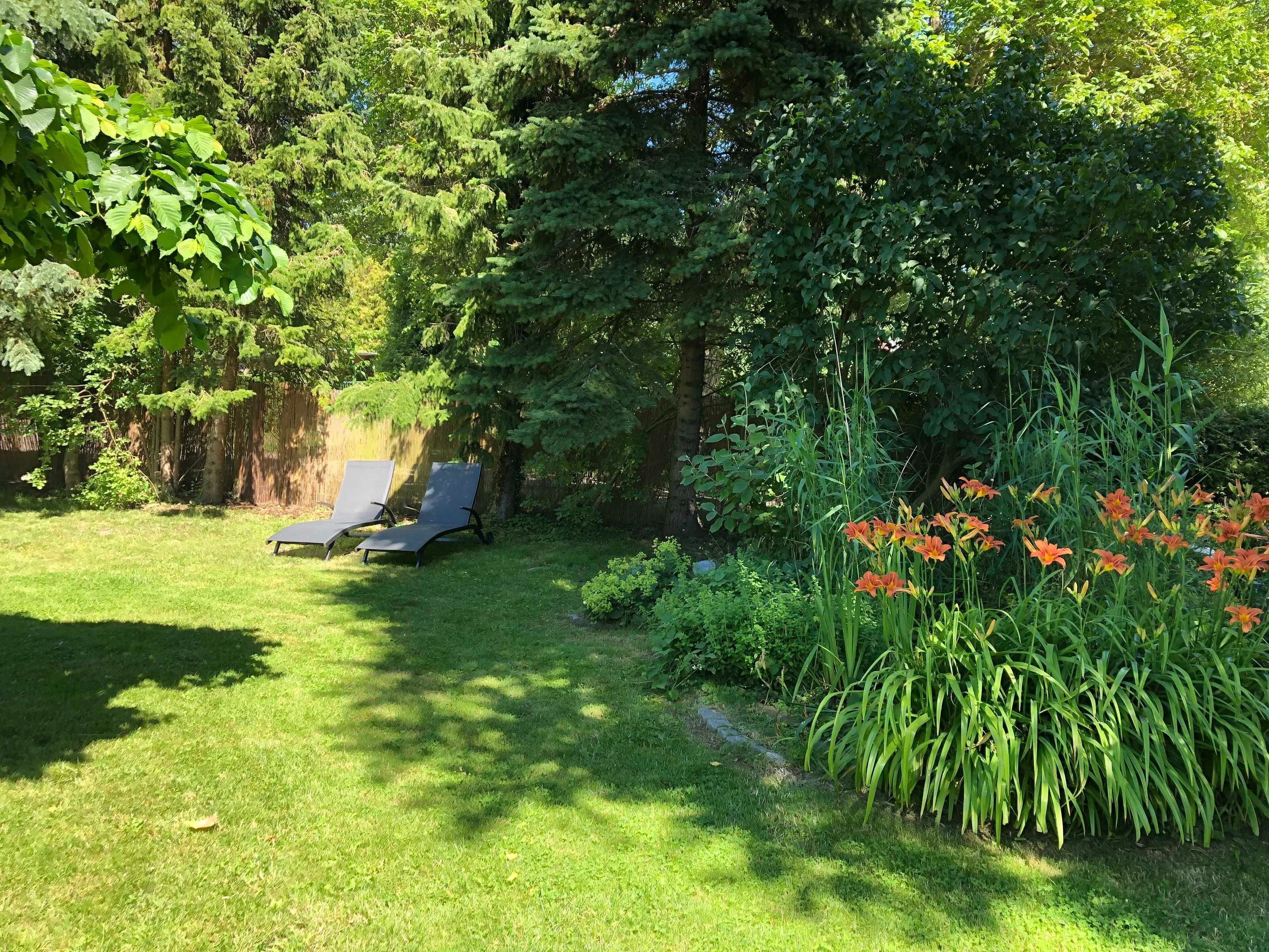 Ein Garten mit zwei Liegestühlen, verschiedenen Pflanzen und einem kleinen Blumenbeet.