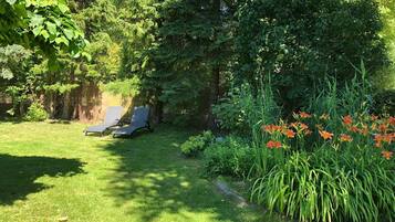 Ein Garten mit zwei Liegestühlen, verschiedenen Pflanzen und einem kleinen Blumenbeet.