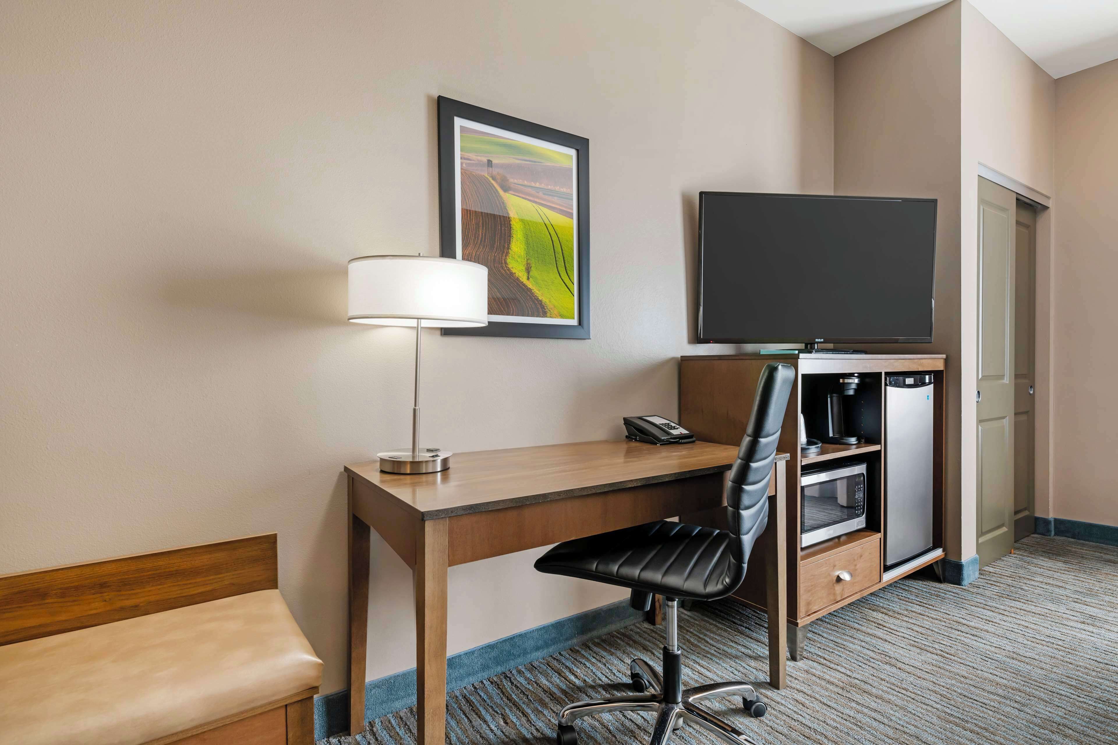 suite, 1 king bed, accessible, refrigerator & microwave (with sofabed) | 1 bedroom, desk, laptop workspace, iron/ironing board