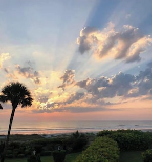 A sunset over a beach with palm trees and shrubs.
