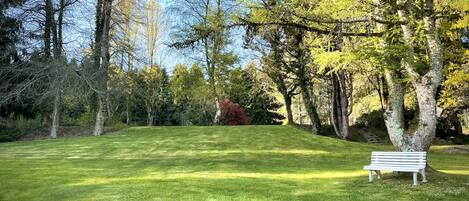 A park with a grassy area, a white bench, and trees with autumn foliage.