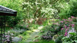 Un jardin avec un sentier en pierre menant à un banc en bois.