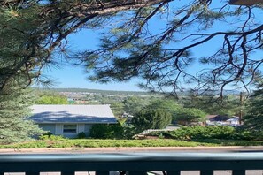 Property grounds - Hillside Cottage In The Pines With Great Views (Williams)